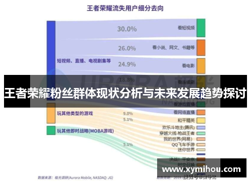 王者荣耀粉丝群体现状分析与未来发展趋势探讨